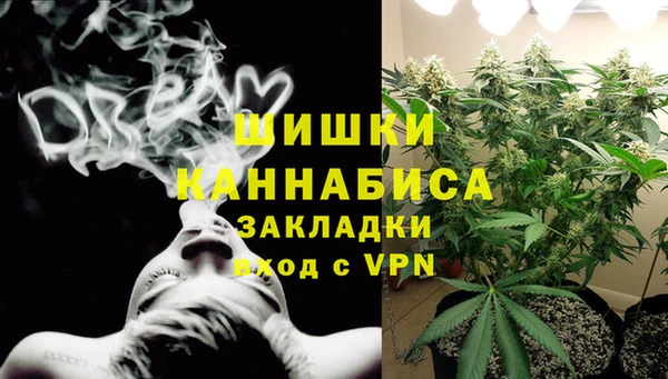 мдпв Бронницы