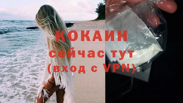 мдпв Бронницы