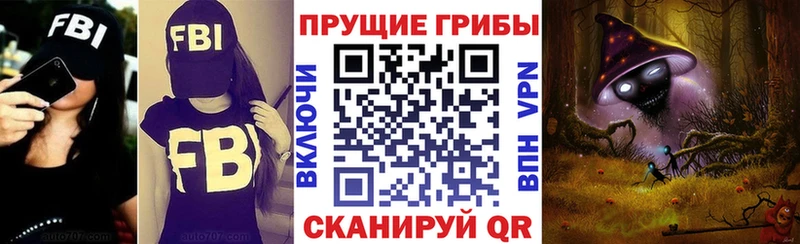Псилоцибиновые грибы Cubensis  Гороховец 